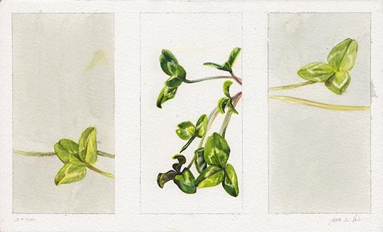 Painting: Trifolia triptych